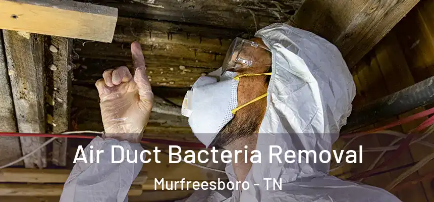  Air Duct Bacteria Removal Murfreesboro - TN