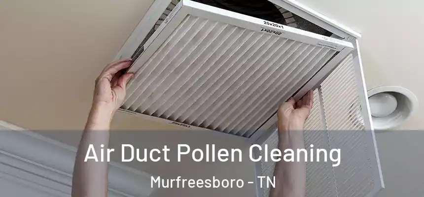  Air Duct Pollen Cleaning Murfreesboro - TN