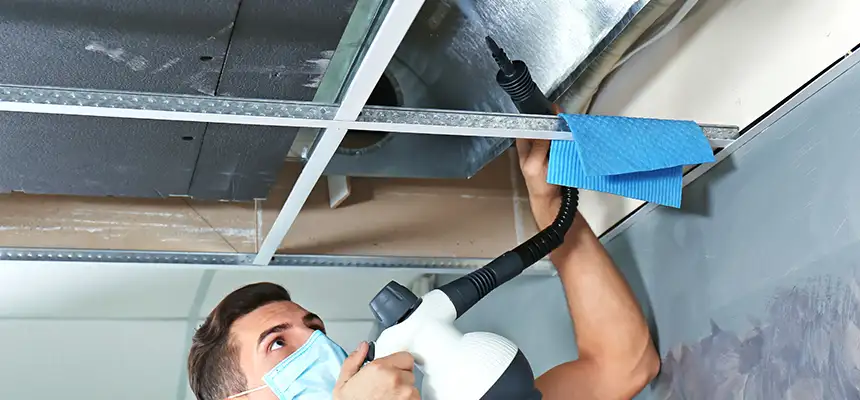 Our Air Duct Rodent Removal Services in Murfreesboro, TN