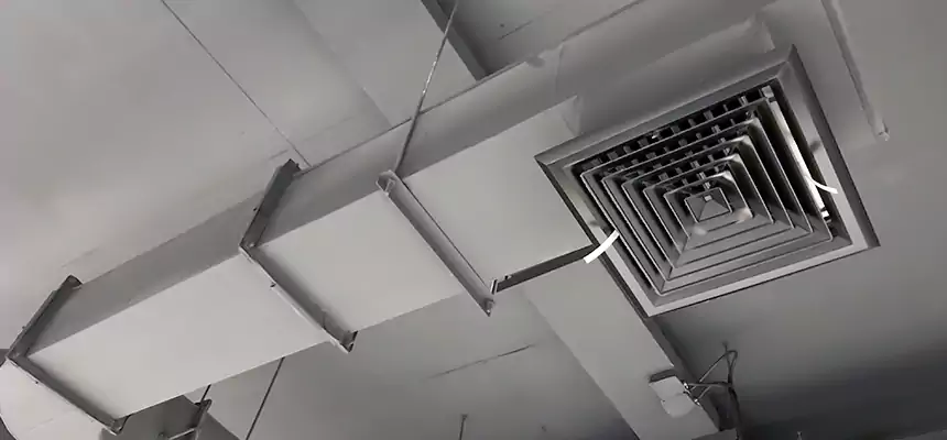 Our Pest Removal From Ducts Services in Murfreesboro, TN