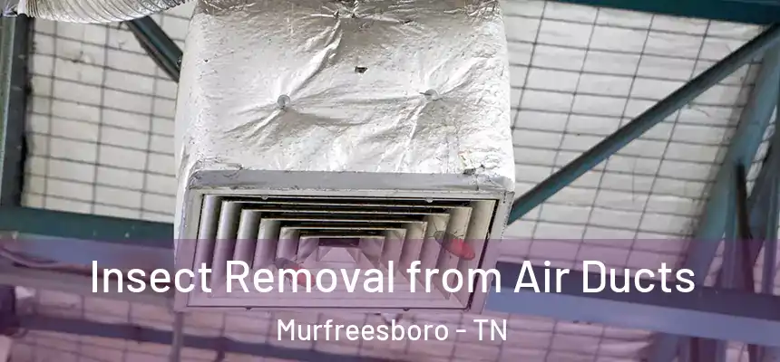  Insect Removal from Air Ducts Murfreesboro - TN