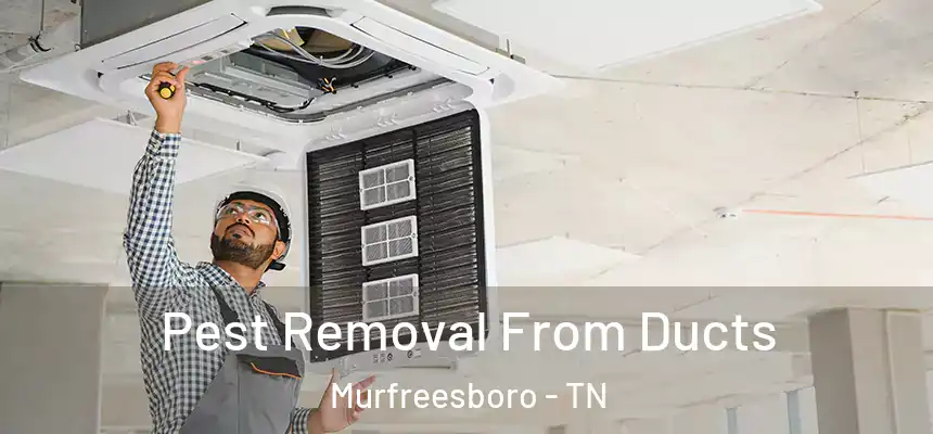  Pest Removal From Ducts Murfreesboro - TN