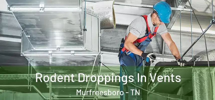 Rodent Droppings In Vents Murfreesboro - TN