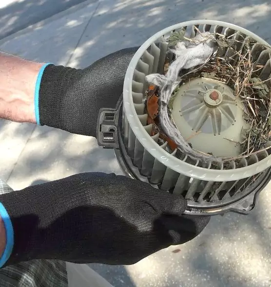 About Air Duct Rat Removal in Murfreesboro, TN