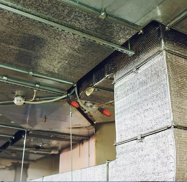 Why Homeowners & Businesses Trust Us in Murfreesboro, TN?