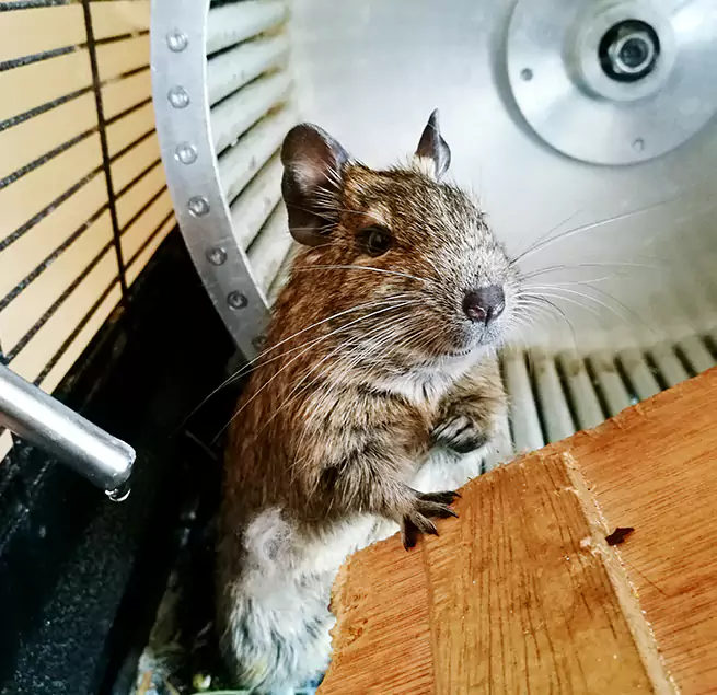 Why Homeowners & Businesses Trust Us Murfreesboro, TN?