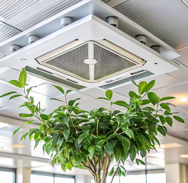 Why Homeowners & Businesses Trust Us in Murfreesboro, TN?