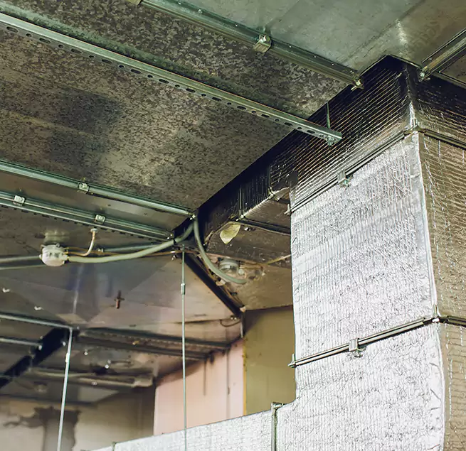 Why Homeowners & Businesses Trust Us in Murfreesboro, TN?